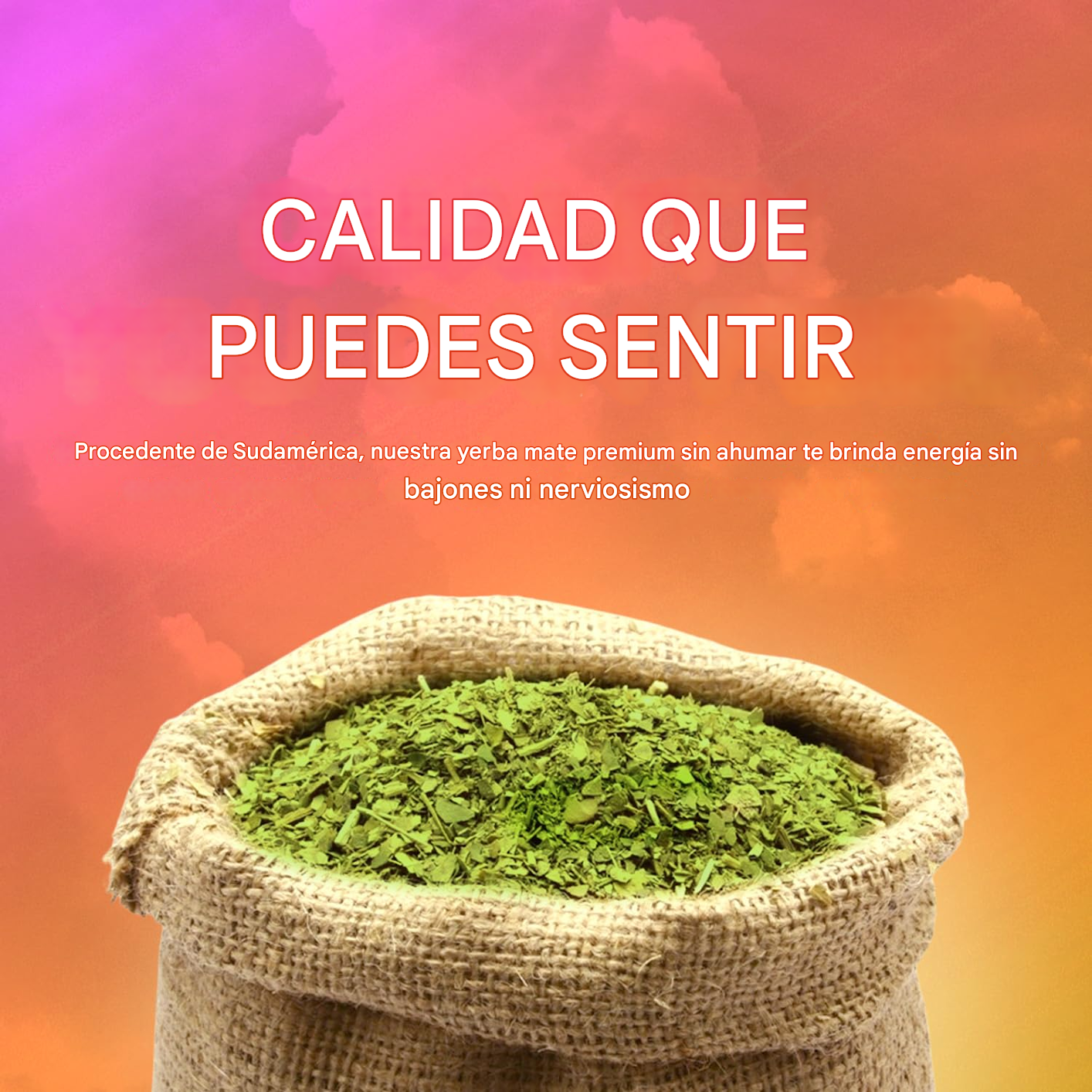 🌿💊 Yerba Magic – Cápsulas 100 % Yerba Mate 💥🧠